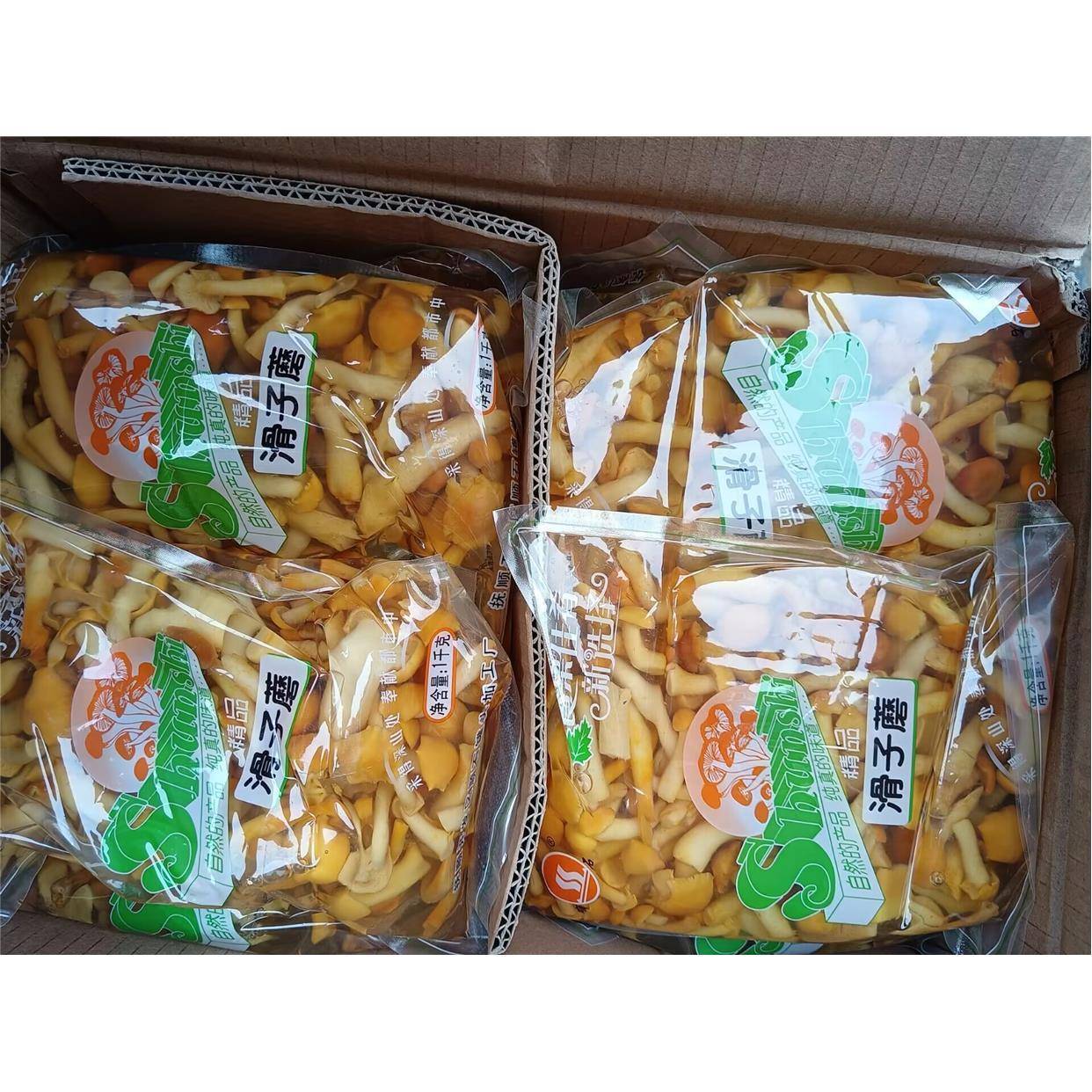 1000g新鲜东北特产清水滑子菇山珍菌野山菌珍珠菇滑菇蘑菇1袋包邮