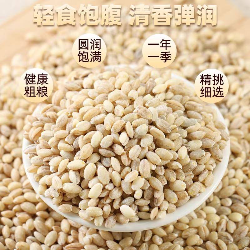 青稞米新米西藏青海农家大麦粒粗粮纯青稞大米麦仁五谷杂粮糙米饭
