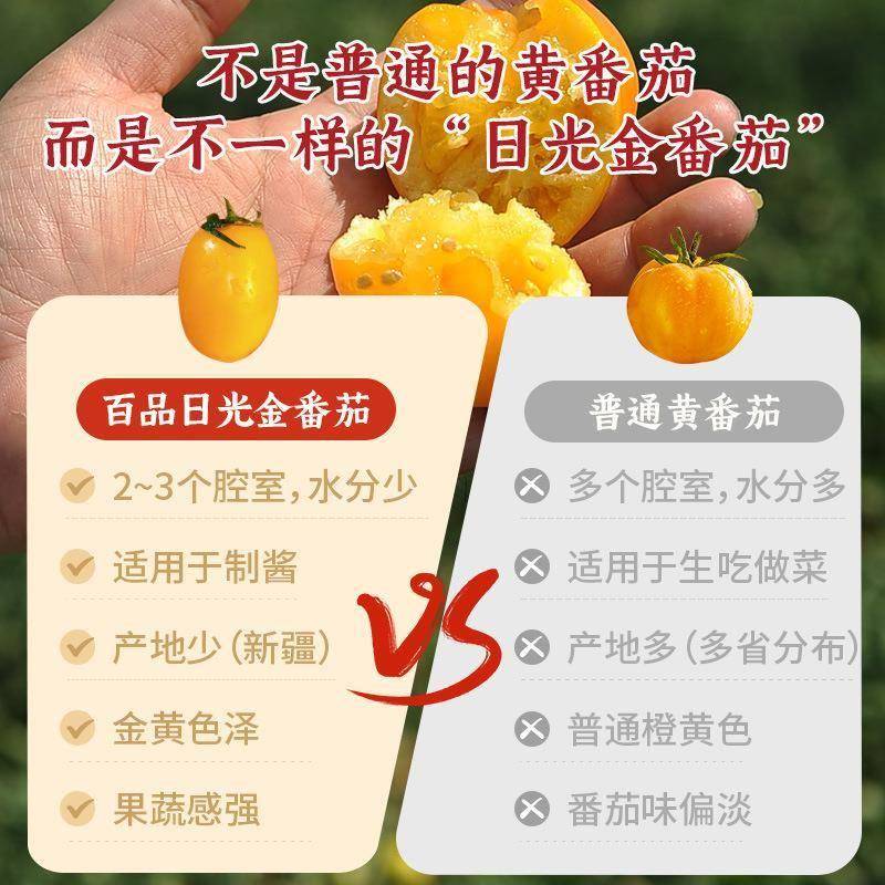 百品日光金番茄火锅底料商用酸汤锅底黄番茄麻辣烫米线汤底酱料包