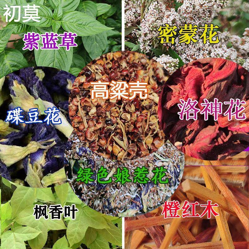 广西五色糯米饭植物染料枫香叶红蓝草三月三清明节黄饭花黑橙紫黄