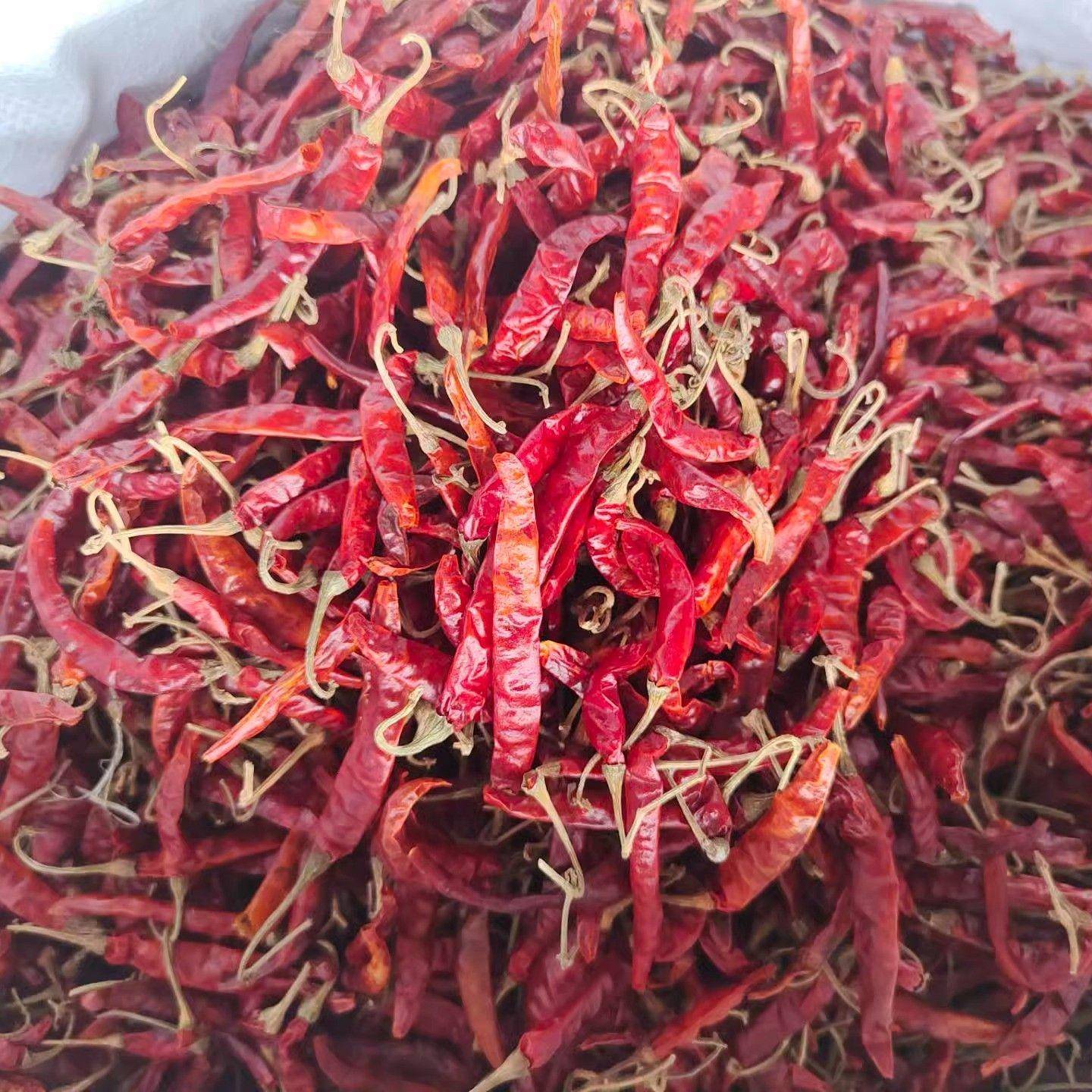 印度进口特辣干辣椒王500克 炒菜火锅卤菜酒店餐饮家用特干辣椒王