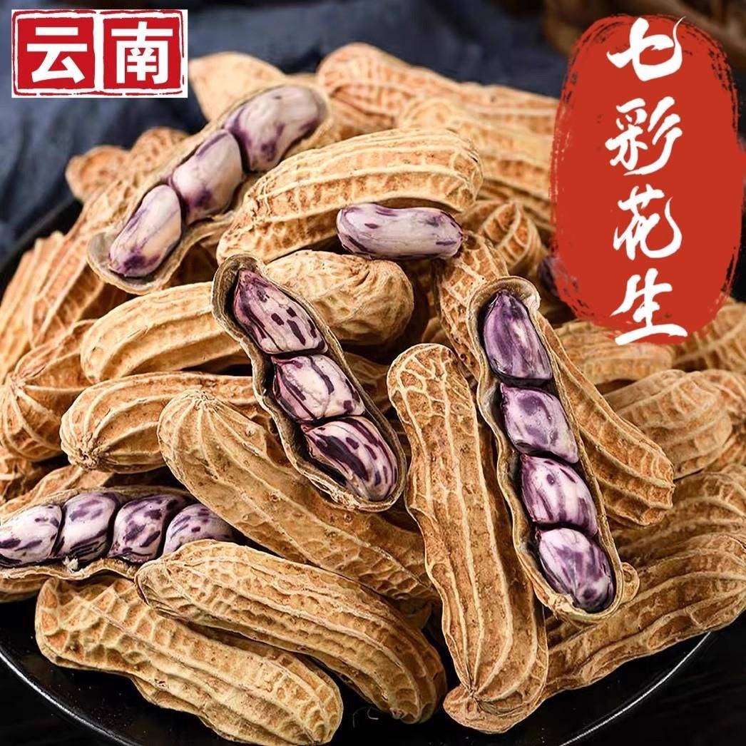 新品新云南七彩花生晒干带壳生熟彩色花生七彩野地花生米种植