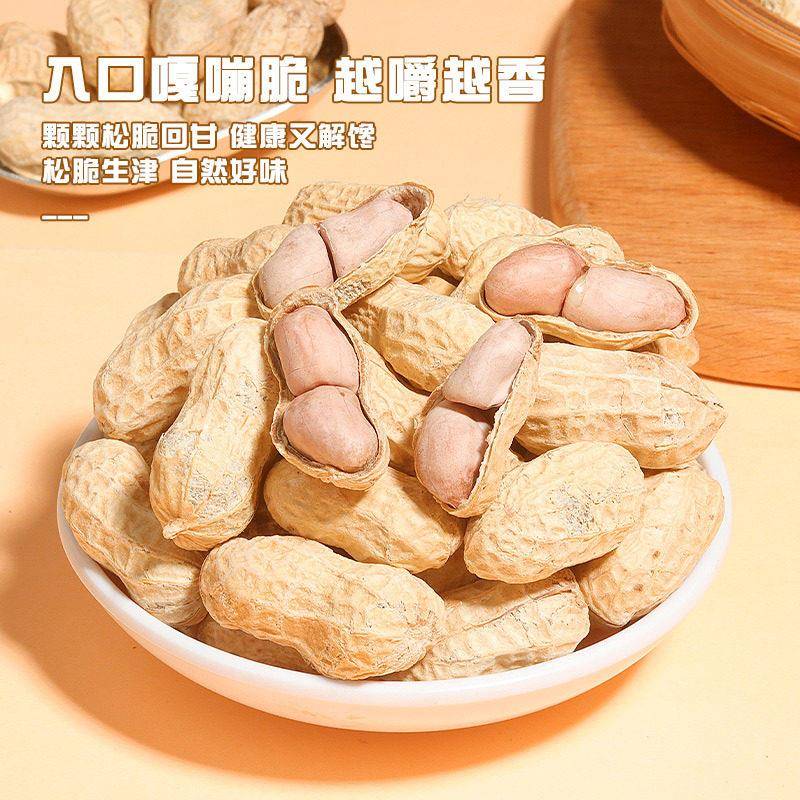 龙岩蒜香花生500g带壳花生米水煮湿烤咸干晒干五香花生炒货零食