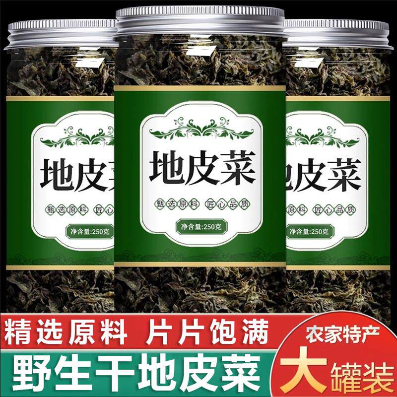 地软地皮菜甘肃野生雷公菌