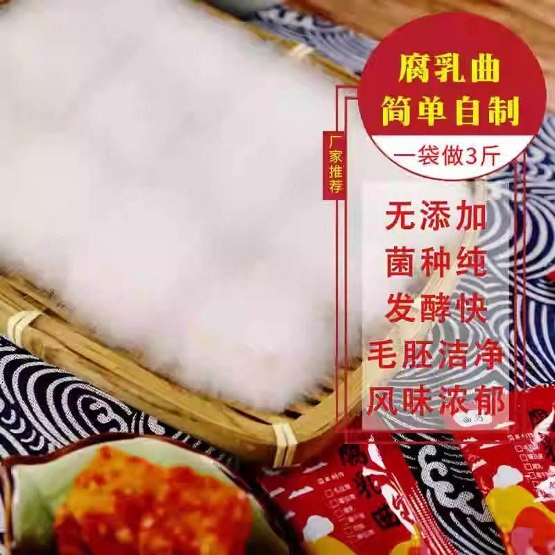 自制豆腐乳发酵菌腐乳曲粉霉豆腐菌粉霉豆腐臭豆腐发酵菌长白毛