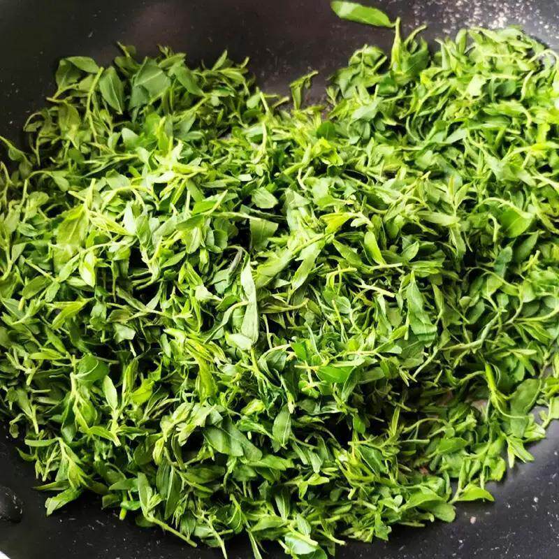 酸枣芽茶泰山酸枣叶嫩芽茶