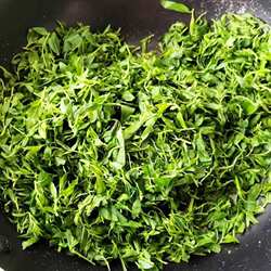 酸枣芽茶泰山酸枣叶嫩芽茶泡水睡眠山枣叶炒酸枣仁芽枣牙新茶