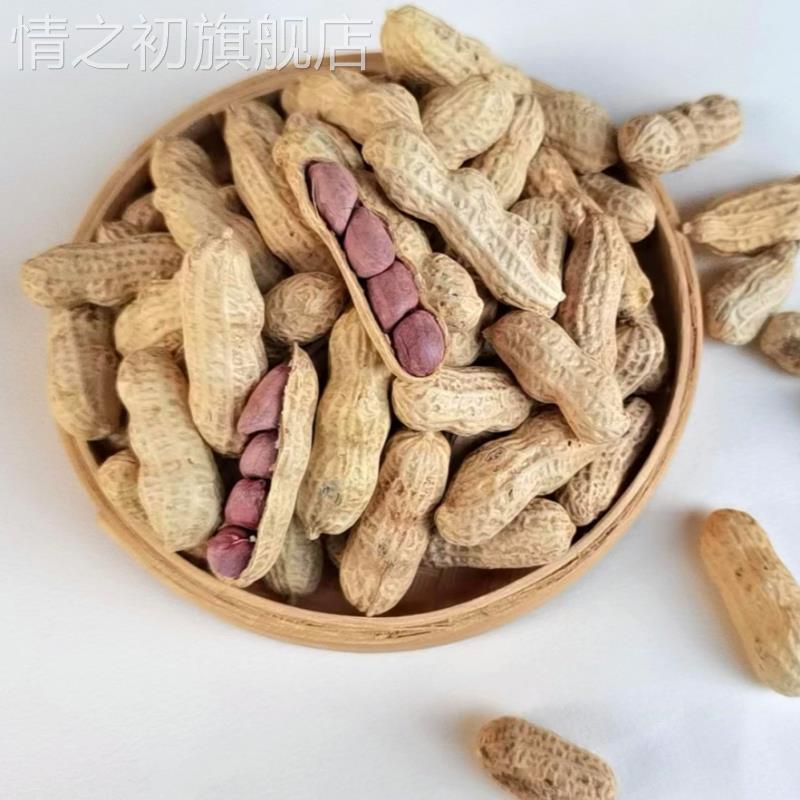 正宗福建龙岩湿烤花生紫衣花生闽西特产农家水煮香脆湿烤二三四粒