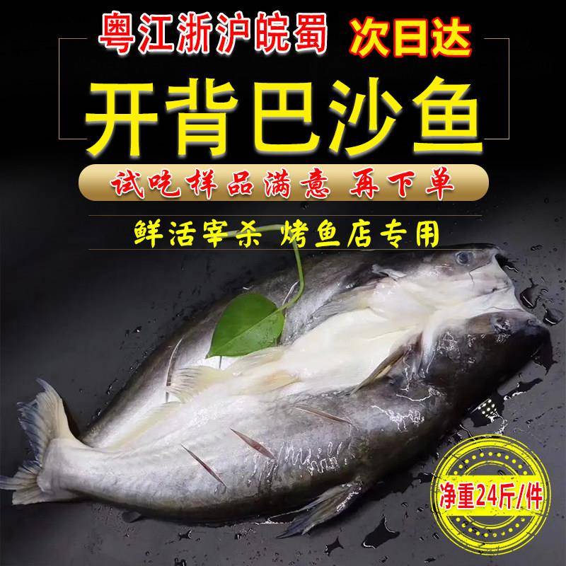 新品开背巴沙鱼商用湄公鱼烤鱼半成品新鲜冷冻整条带皮清江鱼烤鱼