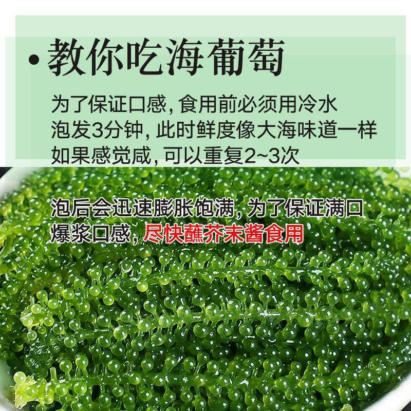海葡萄即食无添加儿童食用水葡萄海藻菜送芥末新鲜即食海草裙带菜