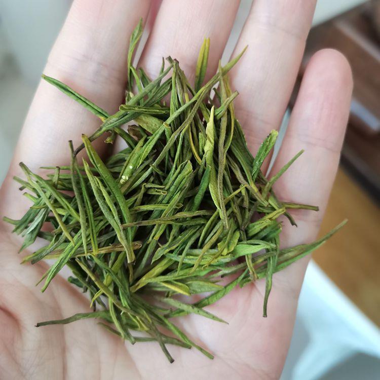 半斤装正宗安吉白茶雨前精美礼盒装 珍稀白茶绿茶原产地茶场直销