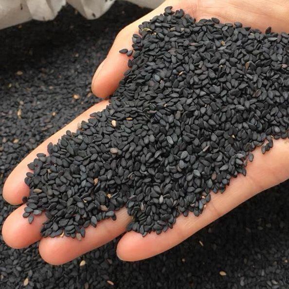 【1斤】生黑芝麻 新货纯黑芝麻干净颗粒饱满 无沙无染色2500g包邮