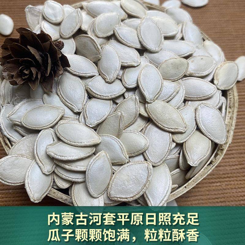 内蒙古新鲜生南瓜子大颗粒坚果零食大片南瓜籽纯晾晒无漂白