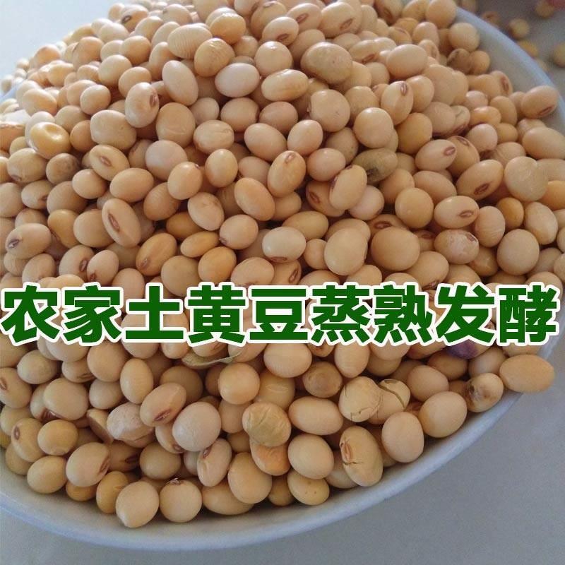 酱豆半成品西瓜酱豆河南特产干干货大全酱豆霉豆子散装农家自制