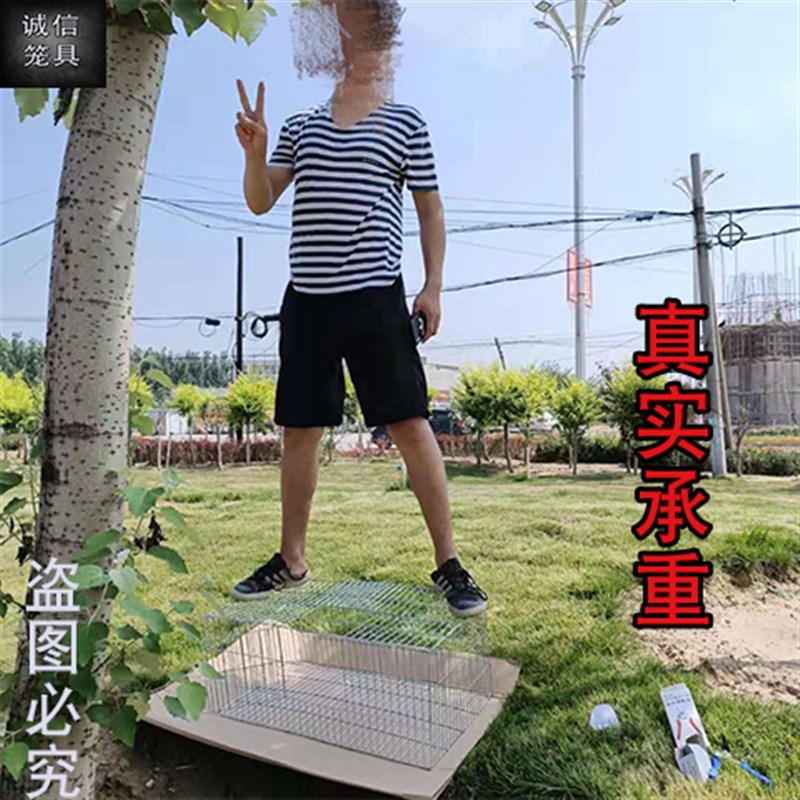 加粗加密鸽子养殖笼兔笼鸡笼家用鹌鹑笼镀锌铁丝笼运输笼大号笼