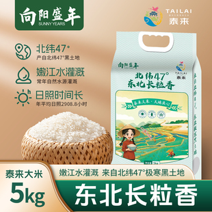 大米2025年新米向阳盛年东北长粒香10斤新米5kg真空包装 米砖