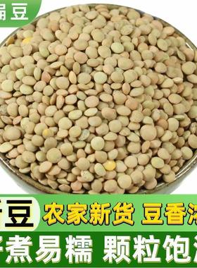 速发小扁豆500g金豌豆健身五谷杂粮甘肃绿扁豆Lentils发豆芽兵豆