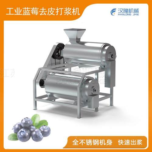 厂家直销专业供应不锈钢蓝莓去皮出浆快双道打浆机