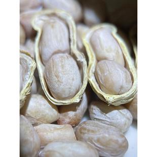 24年新水煮花生米，生带壳龙岩花生米，蒜味五香湿烤咸水烤种子坚