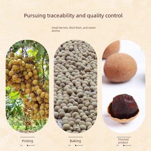 福建桂圆干莆田特产25年新货龙眼干官方旗舰店桂圆肉非无核特级