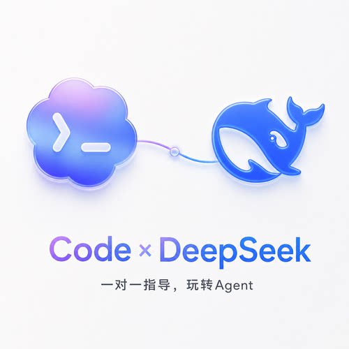 Code×DeepSeek官方API密钥教程一对一远程指导AI Agent安装部署