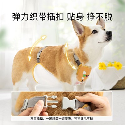 宠物柯基肚兜护肚子狗狗雨衣防水防脏春夏防着凉柴犬法斗包肚衣服