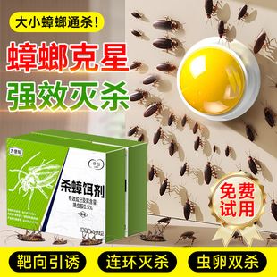 蟑螂药杀蟑家用非无毒强效全窝第虫卵双杀端胶饵贴墙一名灭蟑神器