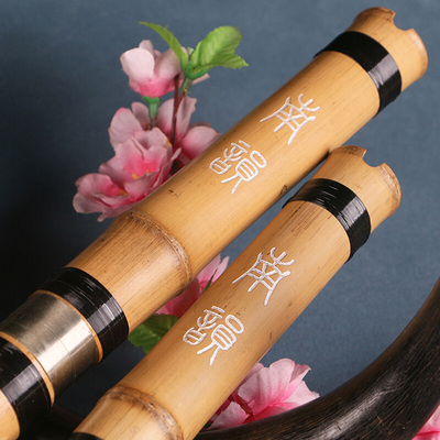 南箫桂竹一节大头萧专业演奏两节日式初学f调g尺八竹潇毛竹根乐器