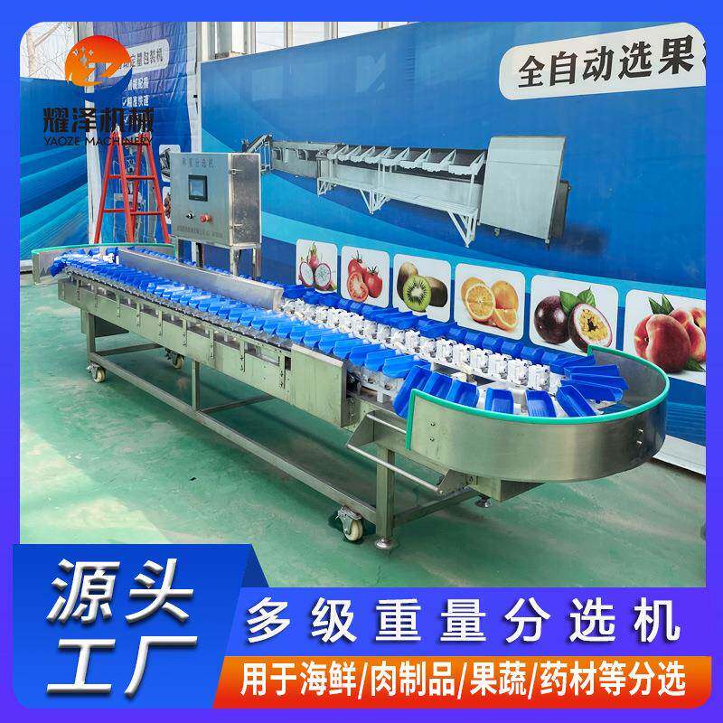 厂家直发重量分选机水果蔬菜多级别自动称重分拣机苹果分级设备