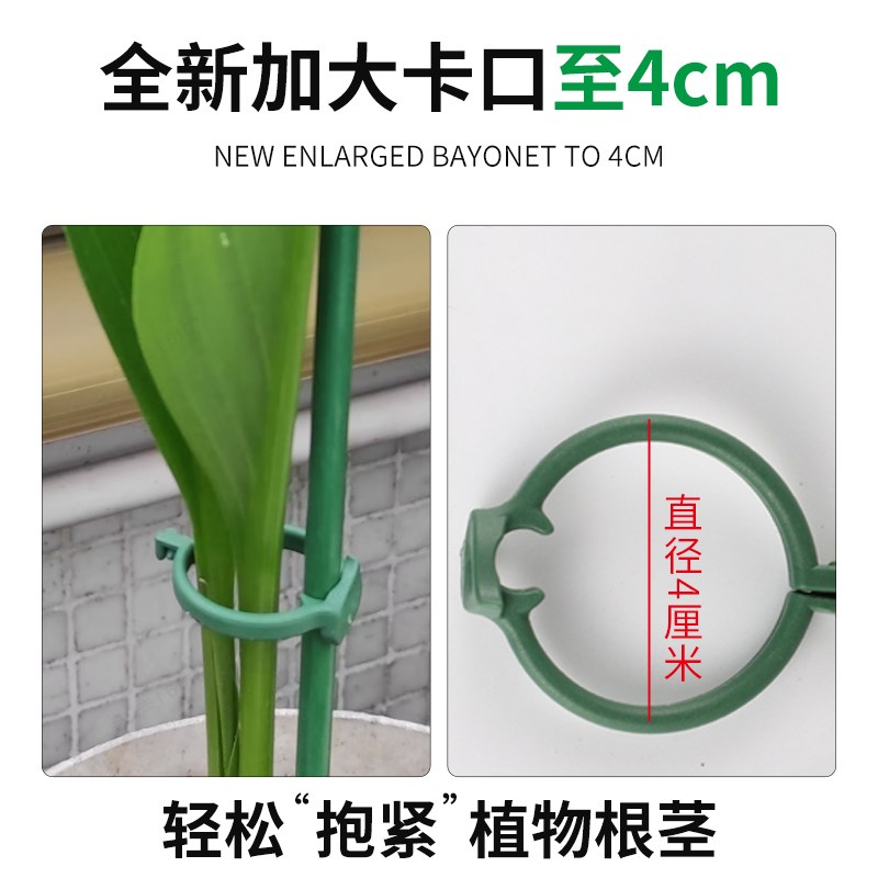 西红柿豆角辣椒固定杆爬藤吊兰园艺花架花支撑架植物防倒伏支撑杆