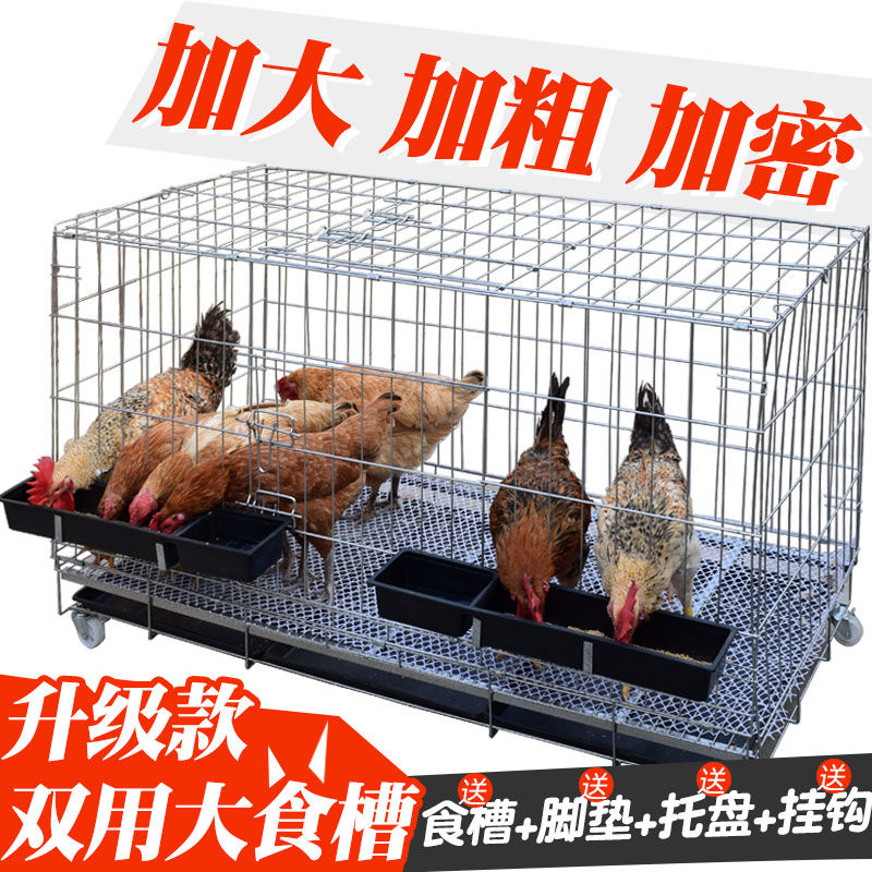 小鸡笼子育雏笼子家用室外 大号 特大室内养鸡笼子芦丁鸡笼子