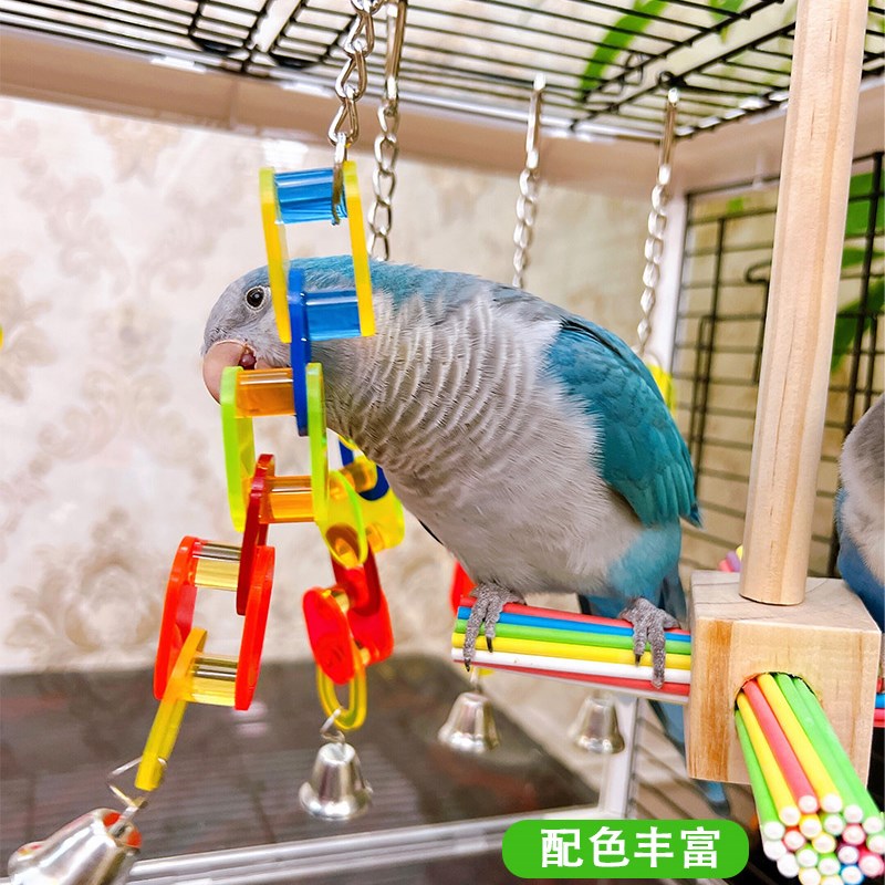 鹦鹉玲珑风铃造景玩具啃咬攀爬玄凤虎皮牡丹益智发泄磨嘴鸟笼用品