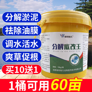 分解改底王鱼塘鱼池水产养殖鱼虾蟹塘调水改底净水王除黑除臭改底
