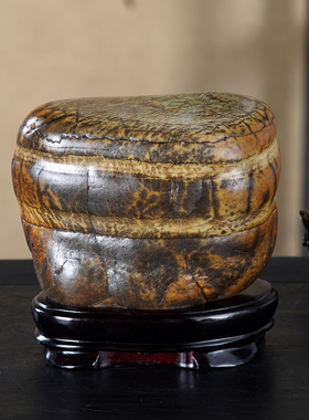 顶爷奇石原石靠山收藏大化石摆件