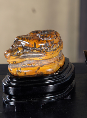 顶爷奇石原石靠山收藏大化石摆件