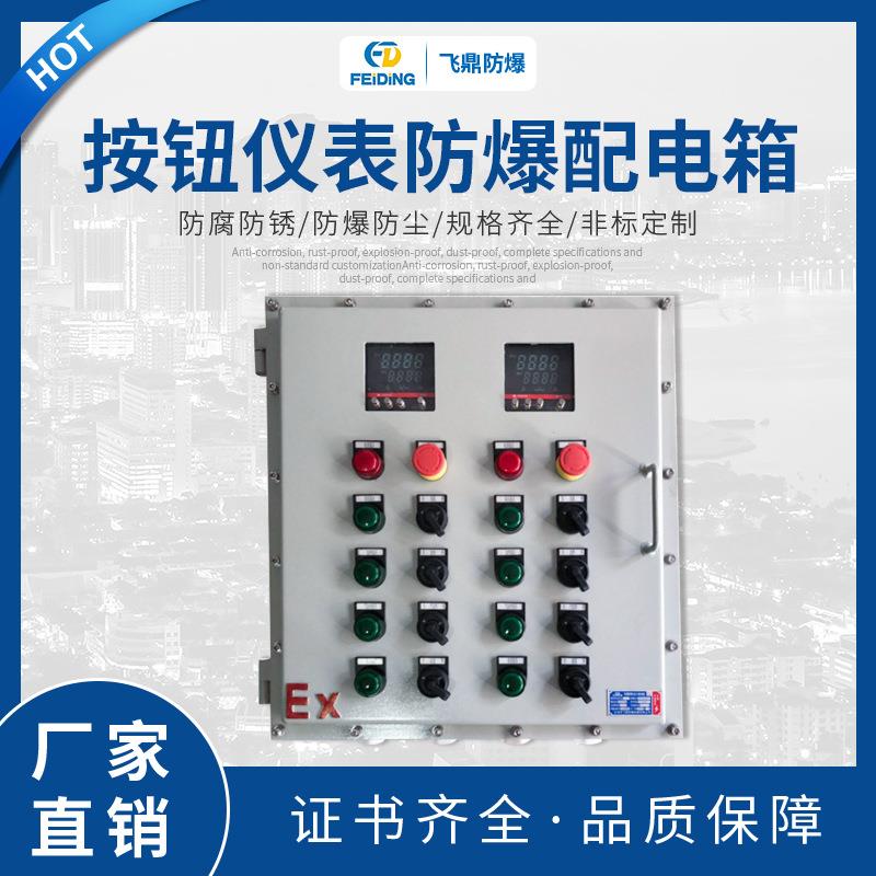 热销 防爆仪表控制箱 按钮仪表防爆配电箱 电源按钮控制箱