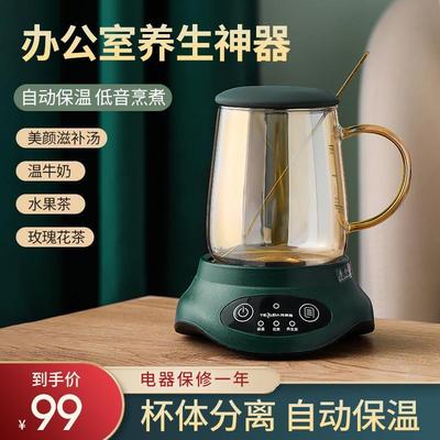 特莱雅养生杯办公室小型煮茶器家用多功能迷你玻璃煮花茶壶一人用