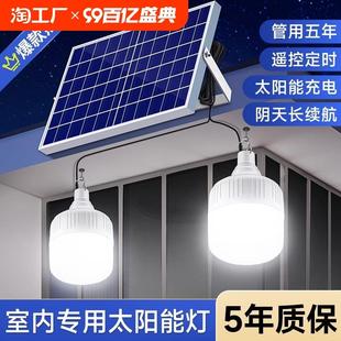 太阳能户外庭院电灯家用充电室内照明一拖二分体式 2024新款 挂灯泡