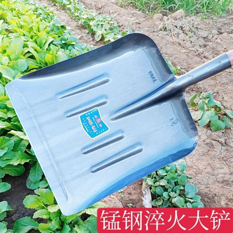 大铁锹大号特大高碳钢铲农用锰钢锹全F钢加厚平口方斗铲垃圾大板
