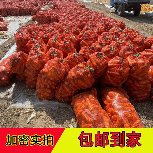 装玉米网袋编织袋价大蒜洋葱地瓜网袋尼龙加密Z加厚大网袋