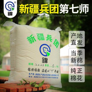 新疆兵团纯天然棉花棉t絮春秋被芯褥单双人冬被褥子8斤定制
