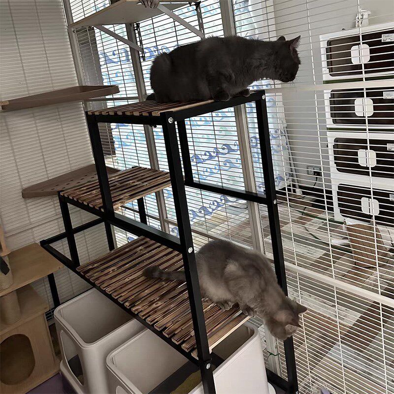 猫爬架猫树跳台一体猫窝猫砂盆猫厕所置物架猫饭堂观景台下空架子