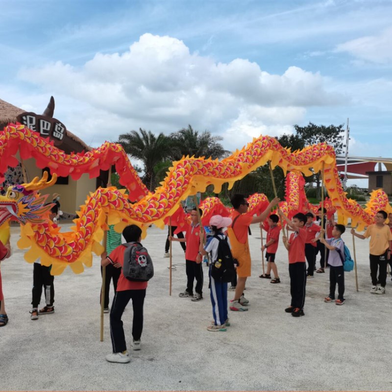 儿童舞龙学生舞龙5号8寸龙儿童舞龙道具7-14岁舞龙舞狮舞龙道具