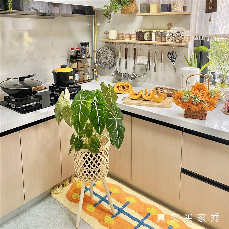 床边毯女孩卧室流苏长条地垫大面积全铺客厅阳台毛绒毯门垫