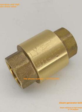 锅炉止回阀江鑫盛天蒸汽发生器佳安配件耐高温止回阀止回阀