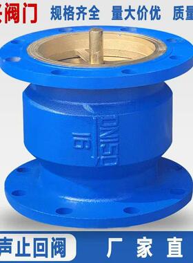 HC41X-16法兰消音止回阀 单向逆止阀DN40 50 65 80 100 150 200