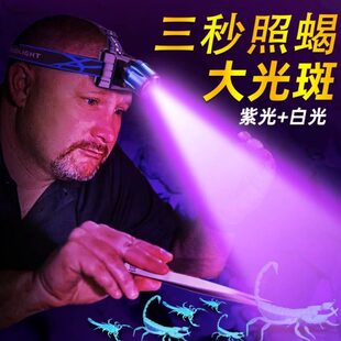 头戴式照蝎子专用灯头灯强光超亮充电夜钓钓鱼灯手电筒蝎子紫光灯