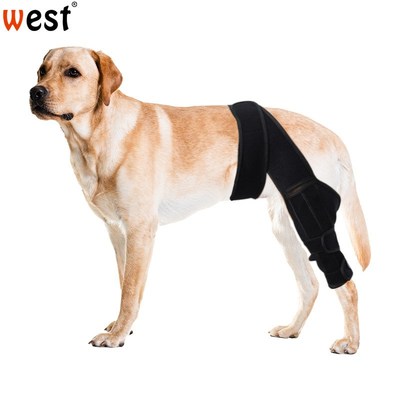 狗狗护膝稳定关节防止舔咬恢复加压绑带护具宠物关节脱位保护套