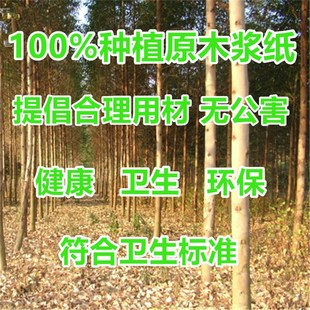 烤乐仕硅油纸纸上烤肉纸吸油纸烧烤烤盘纸锡纸油纸长方形500张
