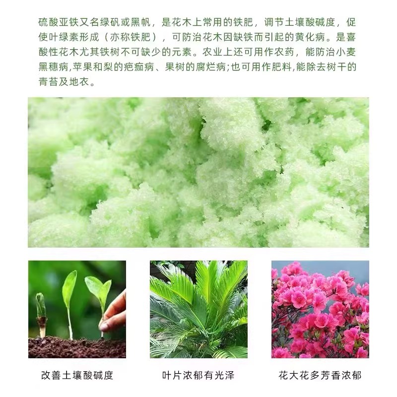 硫酸亚铁粉末
